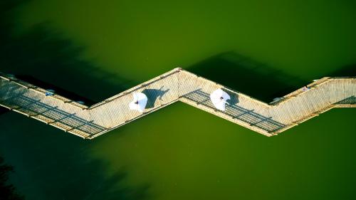 湖中木桥